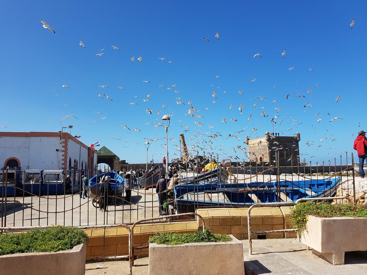 אסאוירה Riad Sidi Magdoul מראה חיצוני תמונה